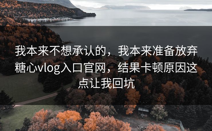 我本来不想承认的，我本来准备放弃糖心vlog入口官网，结果卡顿原因这点让我回坑