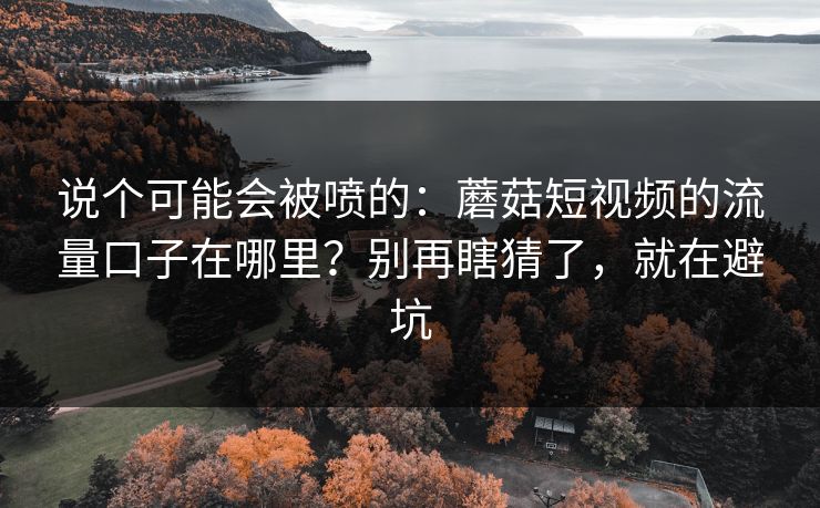 说个可能会被喷的：蘑菇短视频的流量口子在哪里？别再瞎猜了，就在避坑