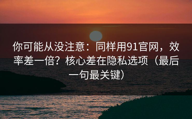 你可能从没注意：同样用91官网，效率差一倍？核心差在隐私选项（最后一句最关键）