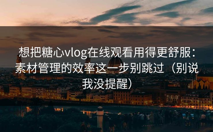 想把糖心vlog在线观看用得更舒服：素材管理的效率这一步别跳过（别说我没提醒）