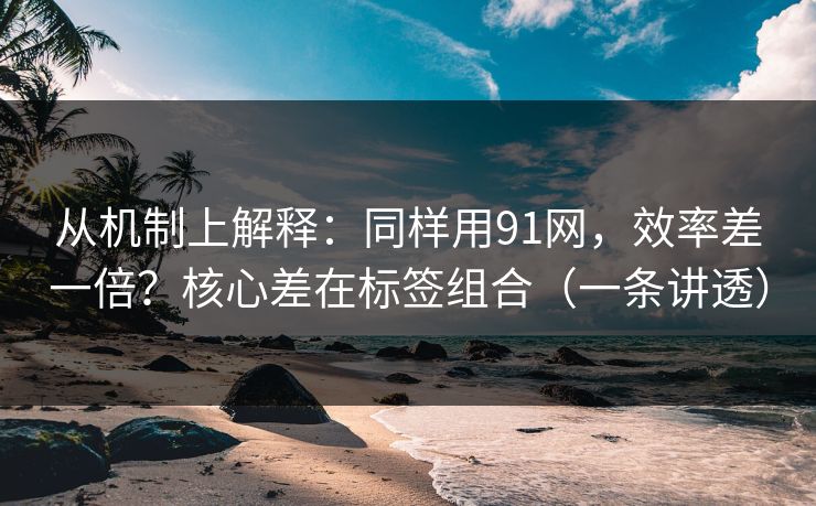 从机制上解释:同样用91网,效率差一倍?核心差在标签组合(一条讲透) 从机制上解释:同样用91网,效率差一倍?核心差在标签组合(一条讲透)