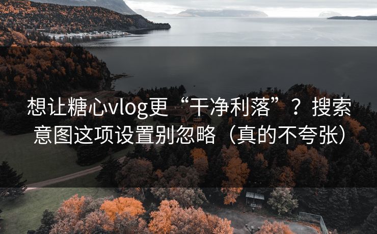 想让糖心vlog更“干净利落”？搜索意图这项设置别忽略（真的不夸张）
