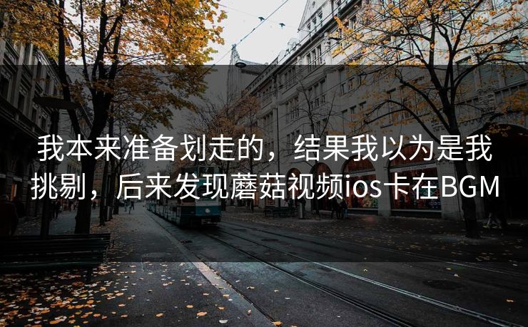 我本来准备划走的，结果我以为是我挑剔，后来发现蘑菇视频ios卡在BGM
